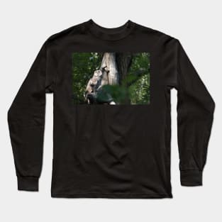 Life in a tree Long Sleeve T-Shirt